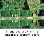 Singapore Botanical Gardens