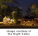 Night Safari