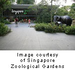 Singapore Zoological Gardens