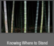 Knowing Where to Stand